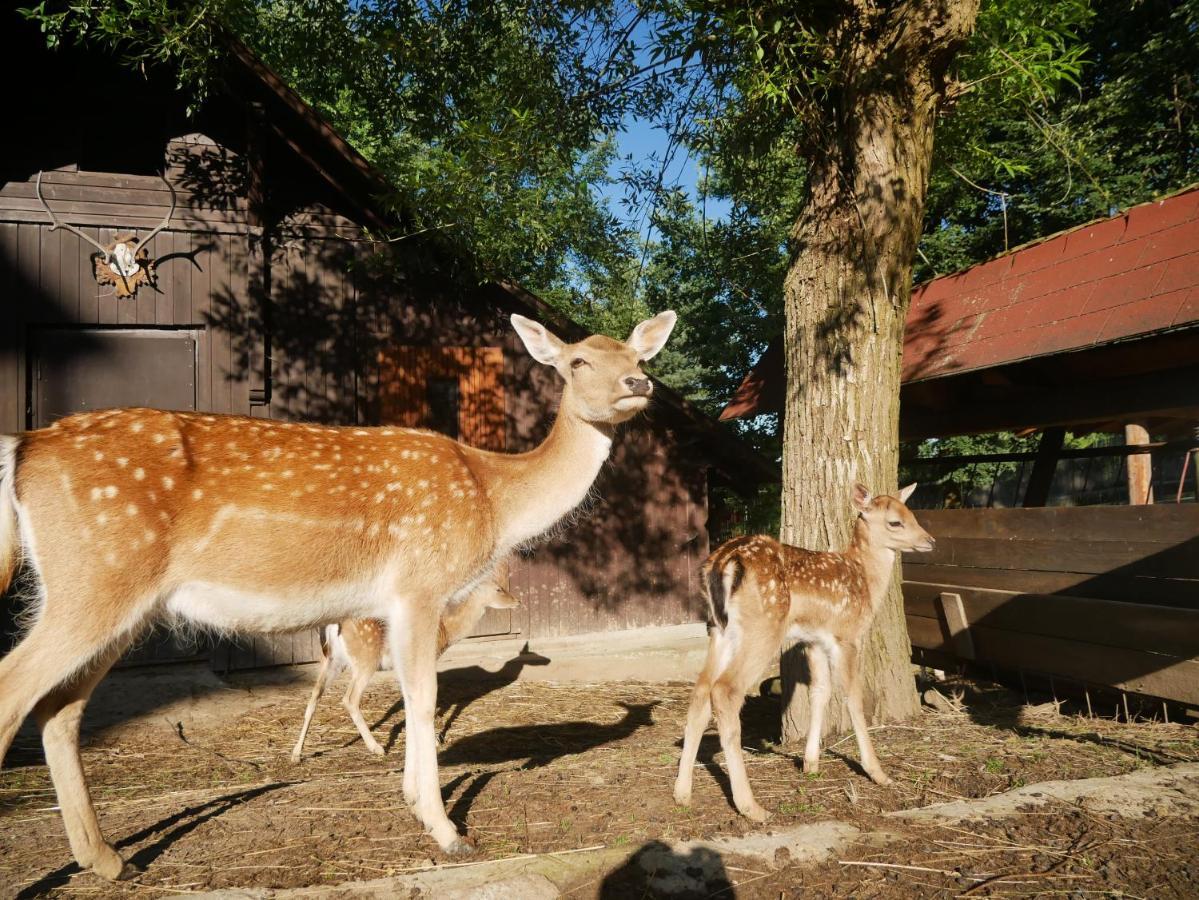 Penzion Obora Prostřední Bečva Bagian luar foto