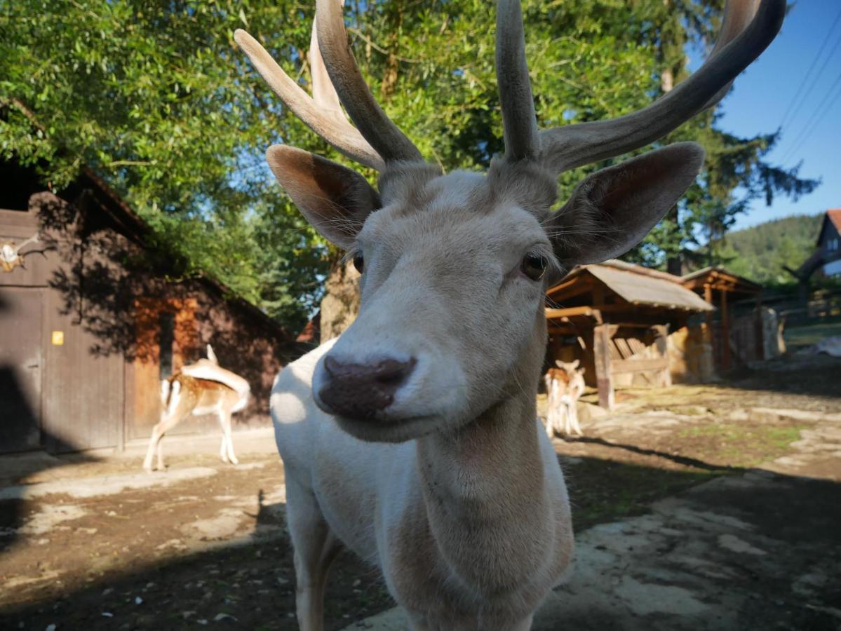 Penzion Obora Prostřední Bečva Bagian luar foto