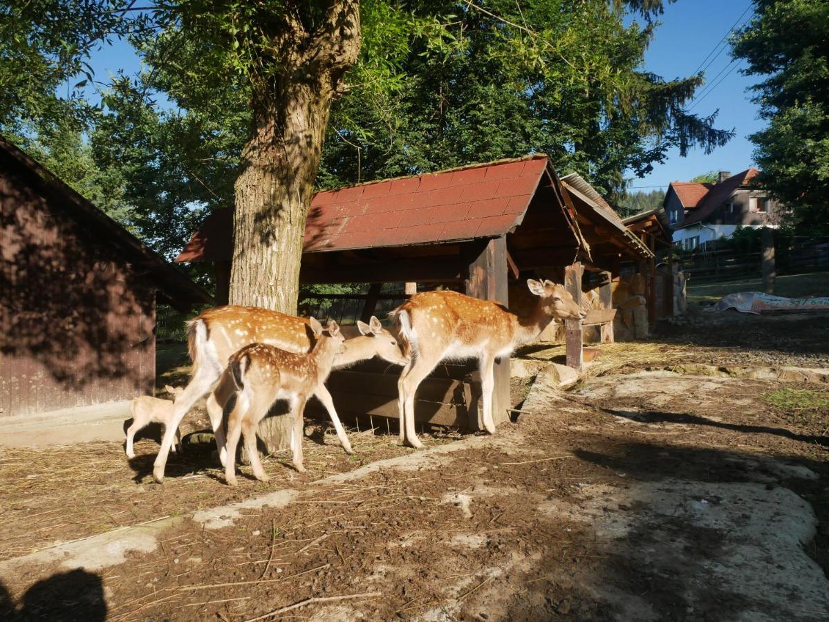 Penzion Obora Prostřední Bečva Bagian luar foto