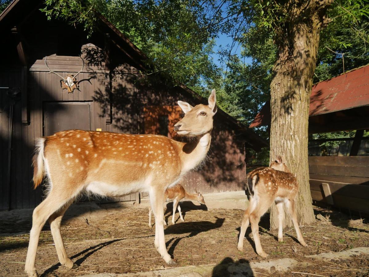 Penzion Obora Prostřední Bečva Bagian luar foto